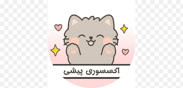 اکسسوری پیشی